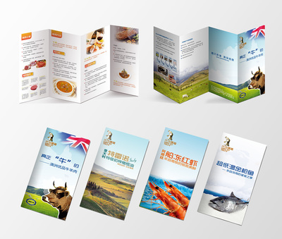 進口食品-產品宣傳折頁